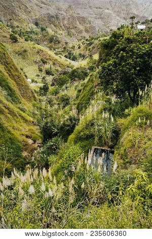 Cape Verde. Landscape Of Vegetation And Mountains And Some Local Dwellings Of The Paul Valley. Culti