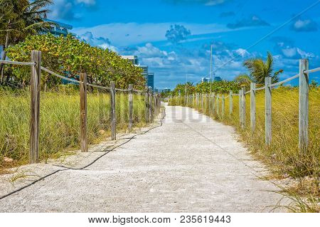 Walkers Walk Near The Beach Of Miami Beach