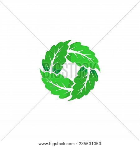 leaf logo, leaf vector Eps10, leaf Icon Vector, green leaf logo, leaf Icon Eps, leaf Icon Jpg, leaf Icon Picture, leaf Icon Flat, leaf Icon App, leaf Icon Web, leaf isolated white background