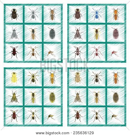 Assembly Flat Shading Style Illustration Of Insect Honey Wasp Soldier Bug Ant Mosquito Scarab Araneu
