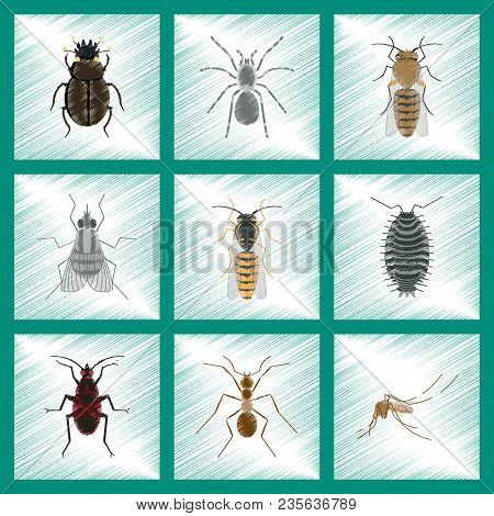 Assembly Flat Shading Style Illustration Of Insect Honey Wasp Soldier Bug Ant Mosquito Scarab Araneu