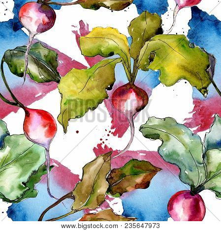 Red Radish Vegetables  In A Watercolor Style Pattern. Full Name Of The Vegetablles: Radish. Aquarell