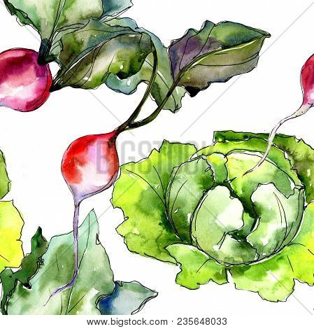Red Radish Vegetables  In A Watercolor Style Pattern. Full Name Of The Vegetablles: Radish. Aquarell