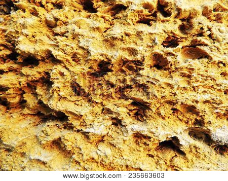 Bricks Made From Shells Of Shellfish. Building Material From The Black Sea.