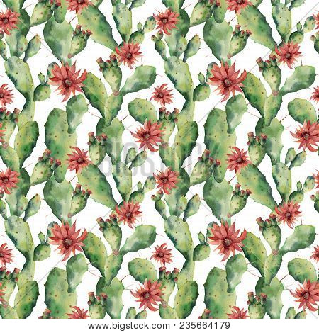 Watercolor Seamless Patttern With Cactuses And Flowers. Hand Painted Opuntia Isolated On White Backg