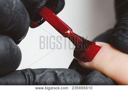 Manicure. Master Applies Varnish Drawing On Nails Gel In Manicure Salon.