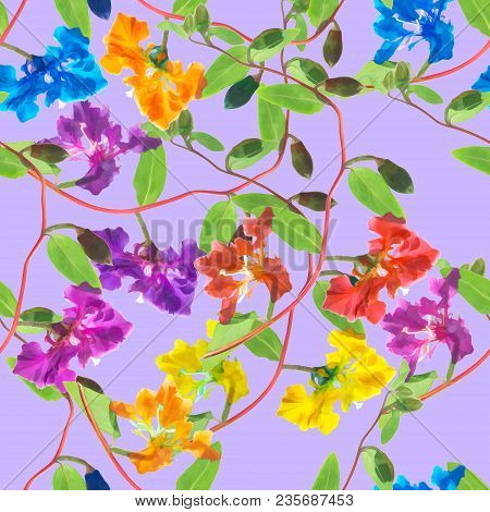 Clarkia. Texture Of Flowers. Seamless Pattern For Continuous Replicate. Floral Background, Photo Col