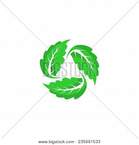 leaf logo, leaf vector Eps10, leaf Icon Vector, green leaf logo, leaf Icon Eps, leaf Icon Jpg, leaf Icon Picture, leaf Icon Flat, leaf Icon App, leaf Icon Web, leaf isolated white background