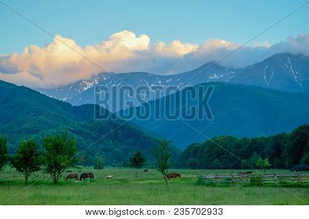 A Picturesque View To A Mountain Area With Some Greeness And Animals.