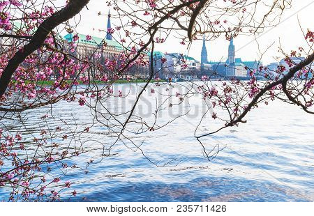 Cherry Blossom At Alster Lake In Hamburg, Germany With Jungfernstieg And Townhall In Background On S