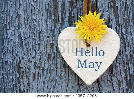 Hello May Greeting Card With Decorative White Heart And Dandelion Yellow Flower On Old Blue Wooden B