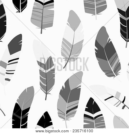 Seamless Feathers Pattern. Scandinavian Black And White Design Background. Stock Vector