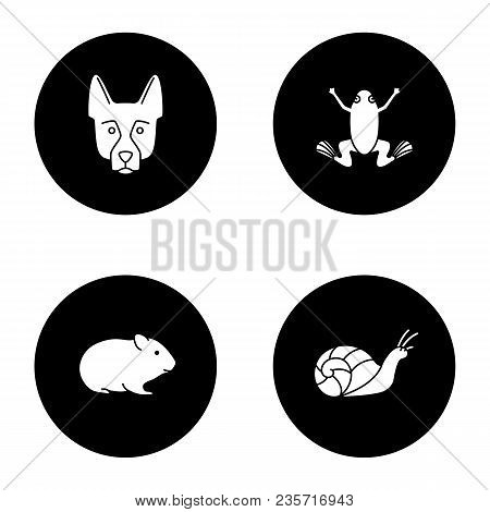Pets Glyph Icons Set. German Shepherd, Frog, Hamster, Snail. Vector White Silhouettes Illustrations 
