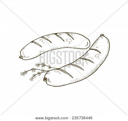 Hand Drawn Barbecue Sauseges Isolated On White Background. Grilled Sausages Sketch