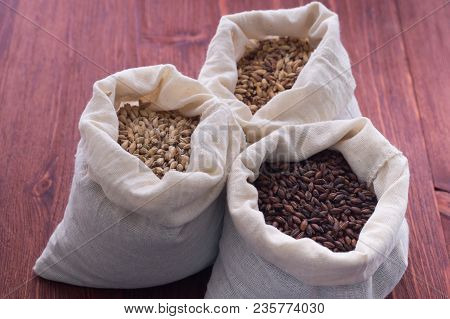 Pale, Caramel, Chocolate Malt In A Bags. Craft Beer Brewing From Grain Barley Malt In Process. Ale O