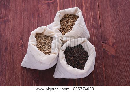 Pale, Caramel, Chocolate Malt In A Bags. Craft Beer Brewing From Grain Barley Malt In Process. Ale O