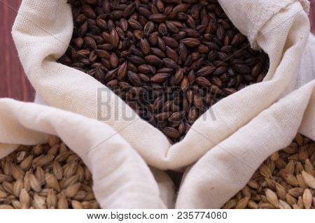 Pale, Caramel, Chocolate Malt In A Bags. Craft Beer Brewing From Grain Barley Malt In Process. Ale O