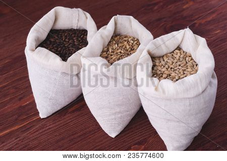Pale, Caramel, Chocolate Malt In A Bags. Craft Beer Brewing From Grain Barley Malt In Process. Ale O