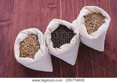 Pale, Caramel, Chocolate Malt In A Bags. Craft Beer Brewing From Grain Barley Malt In Process. Ale O