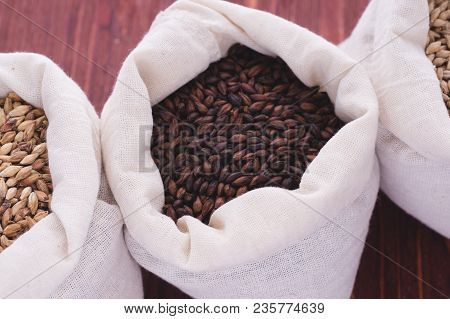 Pale, Caramel, Chocolate Malt In A Bags. Craft Beer Brewing From Grain Barley Malt In Process. Ale O