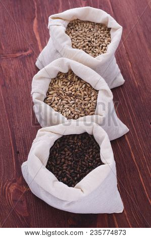 Pale, Caramel, Chocolate Malt In A Bags. Craft Beer Brewing From Grain Barley Malt In Process. Ale O