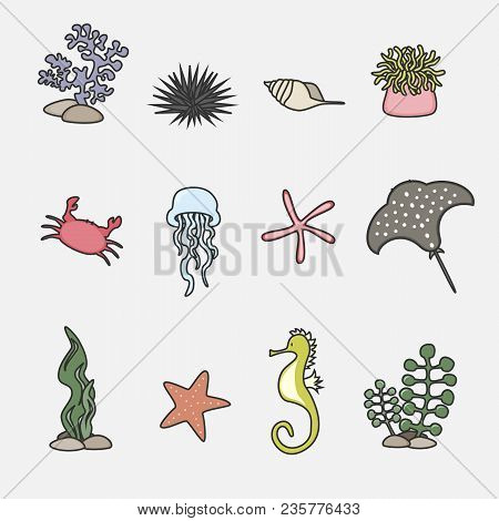 Cute Cartoon Sea Animals Set. Vector Illustration.