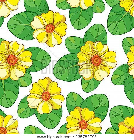 Vector Seamless Pattern With Outline Yellow Primula Or Primrose Flower And Green Leaves On The White