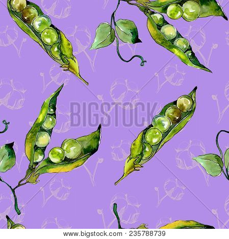 Pea Sed Wild Vegetables In A Watercolor Style Pattern. Full Name Of The Vegetables: Pea Sed. Aquarel