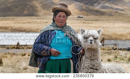 Arequipa, Peru - September 2017: Peruvian Woman With Lama And Alpaca.