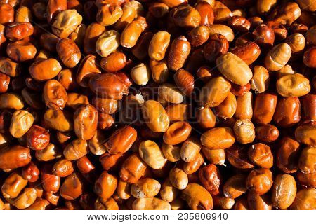 Fresh Organic Fruit Of The  Oleaster, Silver Berry Or Russian Olive