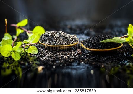 Close Up Of Kalonji, Roman Coriander, Mint Leaves, And Powder Of Kalonji With Its Extracted Oil For 