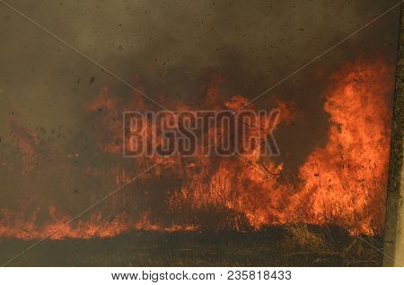 Coastal Zone Of Marsh Creek, Strong Smoke From Fire Of Liana Overgrowth. Spring Fires Of Dry Reeds D