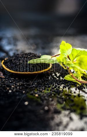 Close Up Of Kalonji, Roman Coriander, Mint Leaves, And Powder Of Kalonji With Its Extracted Oil For 