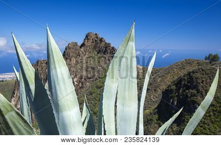 Gran Canaria, March, View From A Hiking Path In Valsequillo Municipality Towards Rock Formation Roqu