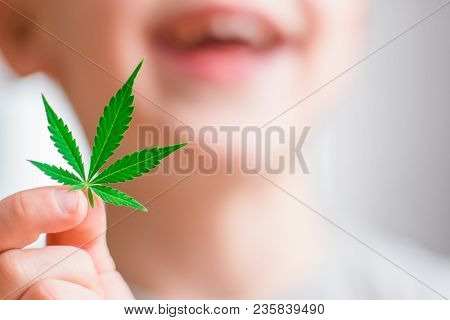 Smiling Kid Child Holding A Hemp Leaf. Concepts Of Using Marihuna For Medicinal Purposes For Childre