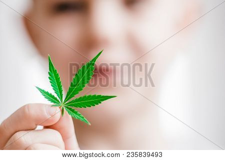 Smiling Kid Child Holding A Hemp Leaf. Concepts Of Using Marihuna For Medicinal Purposes For Childre