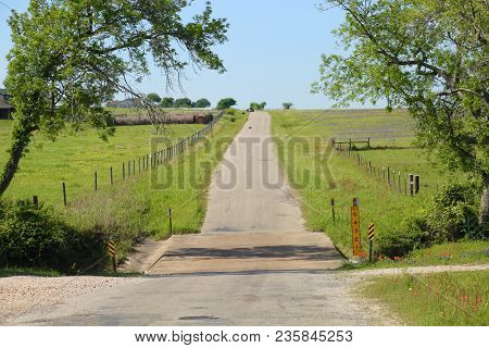 Lovely Spring Has Sprung In Brenham, Tx