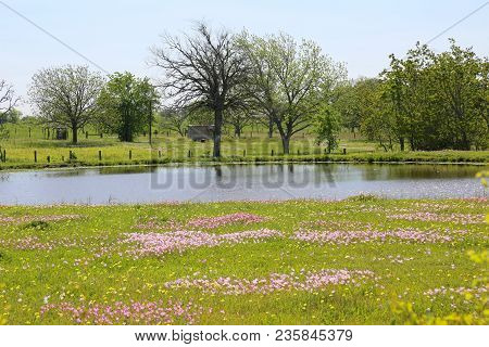 Lovely Spring Has Sprung In Brenham, Tx