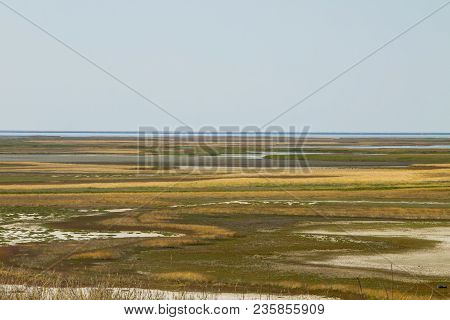 View On The Sivash Lake, Ukraine