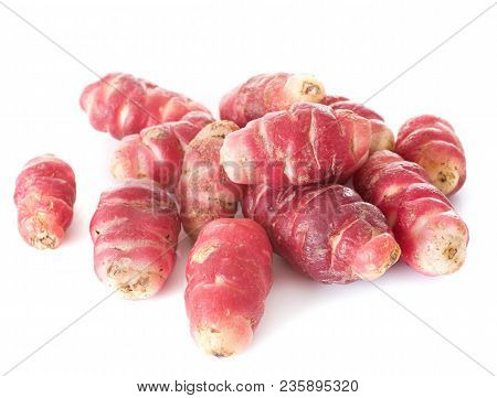 Oxalis Tuberosa In Front Of White Background