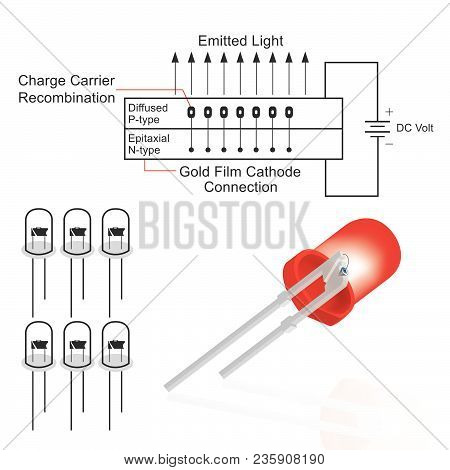 Light Emitting Diode (led) Structure. Education Info Graphic.