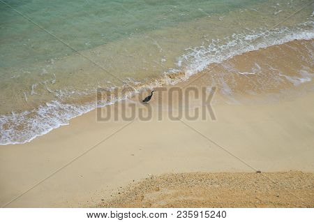 Kouki Beach In Nago On Okinawa Island In Japan. Beautiful Turquoise Water Color Of The South China S