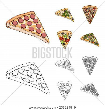 A Slice Of Pizza With Different Ingredients. Different Pizza Set Collection Icons In Cartoon, Outlin