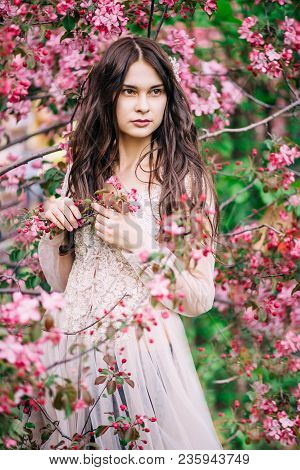 Beautiful Sexy Girl In Lace Dress Beige On A Background Of Pink Sakura, Hands Touching Twigs Looks I
