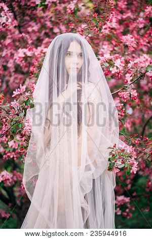 Very Beautiful Girl The Bride Under A Veil, Beige Wedding Dress Near The Tree Sakura