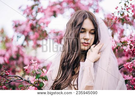 The Girl With Long Hair Covered His Head With A Veil, Looking Down On The Background Of Pink Cherry