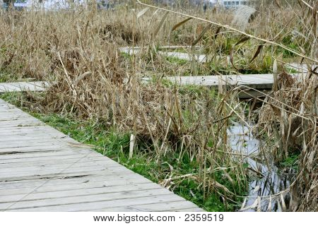 Тихий сад путь