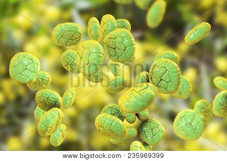 Mimosa Pollen, Close-up View, 3d Illustration. Pollen Is A Factor Causing Hay Fever And Allergic Rhi