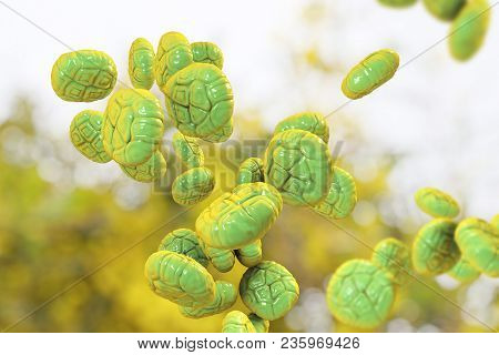 Mimosa Pollen, Close-up View, 3d Illustration. Pollen Is A Factor Causing Hay Fever And Allergic Rhi