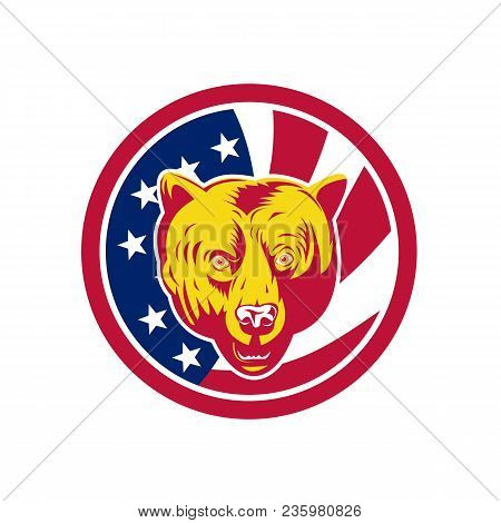 Icon Retro Style Illustration Of An American Brown Bear Or California Grizzly Head  With United Stat